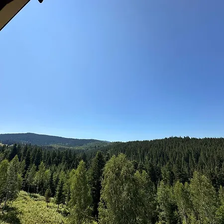 карпатська модринка Apartament Worochta
