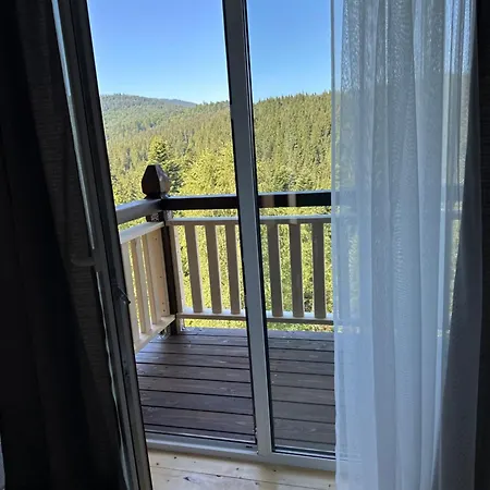 карпатська модринка Apartament *