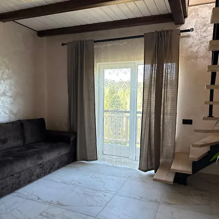 карпатська модринка Worochta