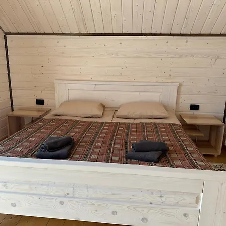 карпатська модринка Apartament