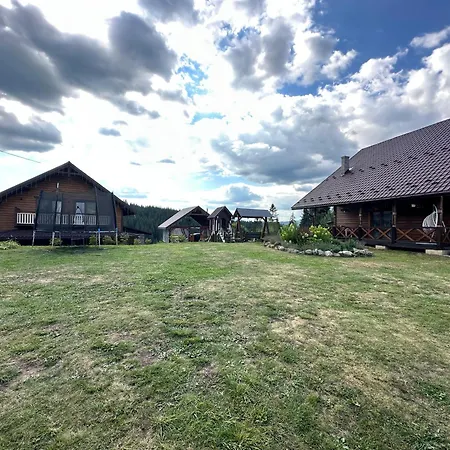 карпатська модринка